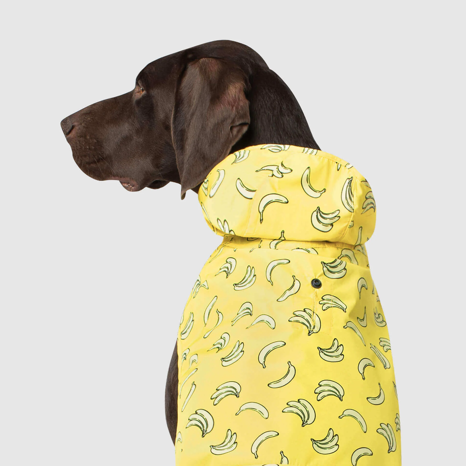 CANADA POOCH | Pick Me Poncho in Bananas - Image 2
