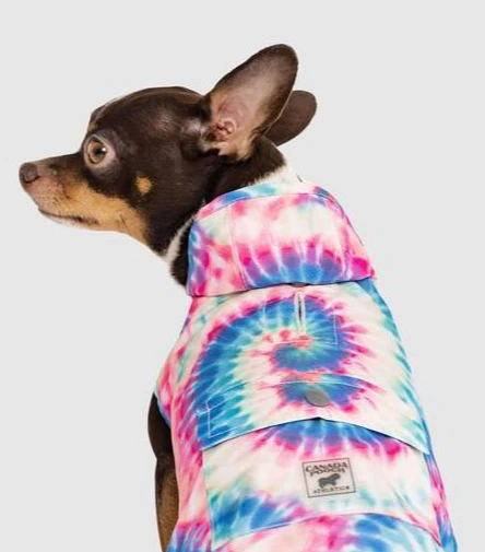 Pick Me Dog Poncho in Tie Dye (FINAL SALE) - Image 2