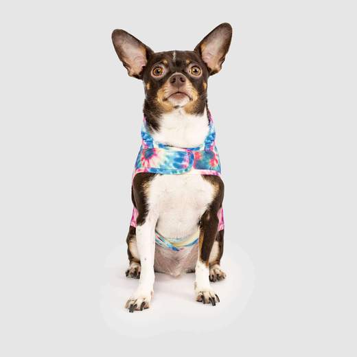 Pick Me Dog Poncho in Tie Dye (FINAL SALE) - Image 5