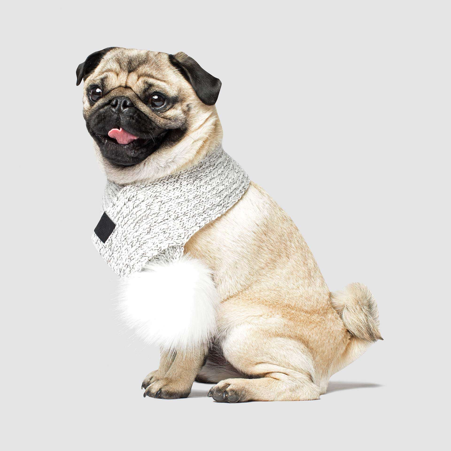 CANADA POOCH | Pom Pom Scarf in Snow Fox - Image 2
