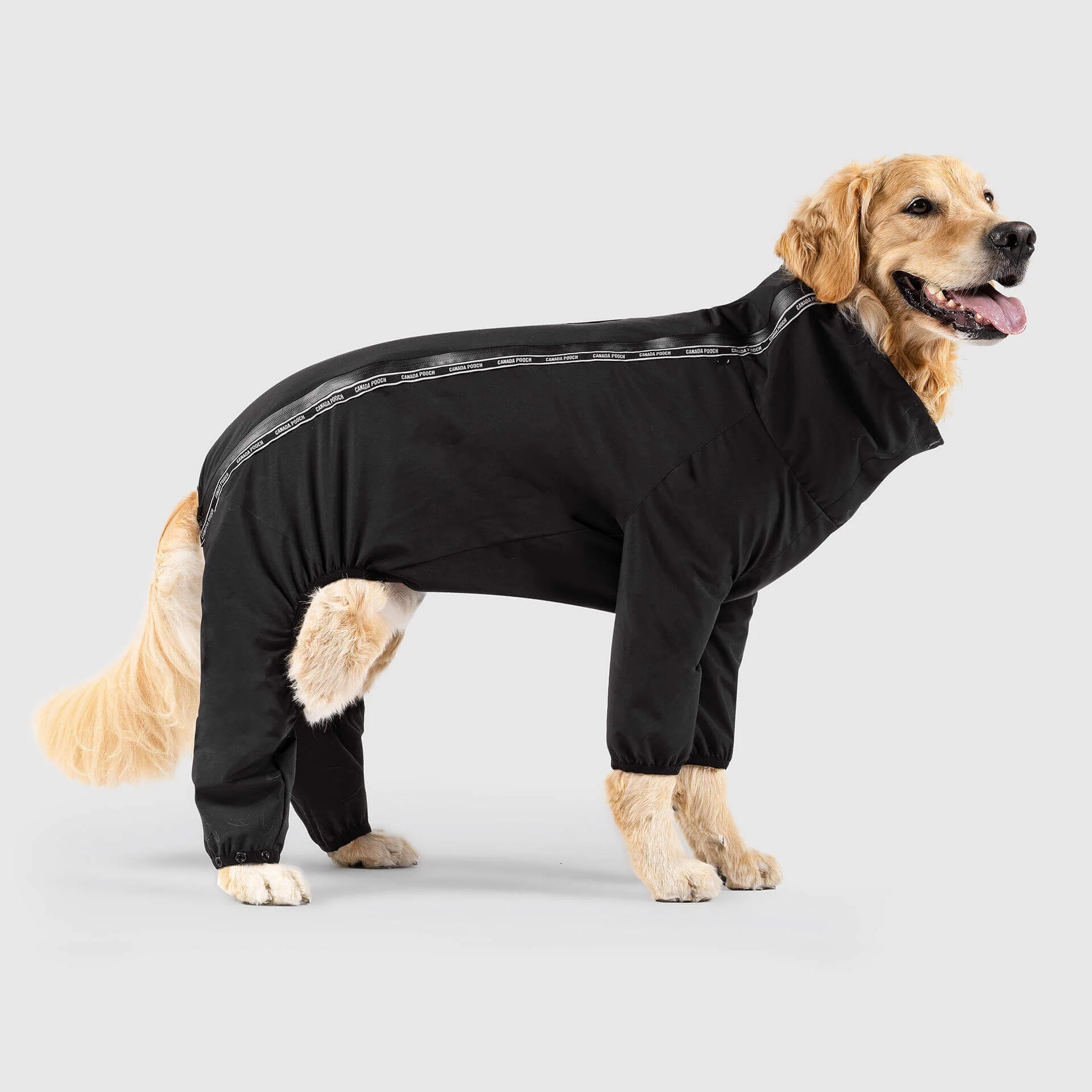 Slush Suit in Black (FINAL SALE) - Image 4