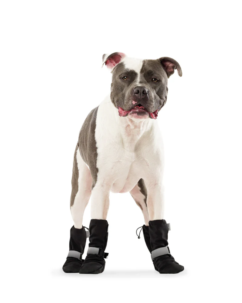 Soft Shield Dog Boots in Black - Image 3