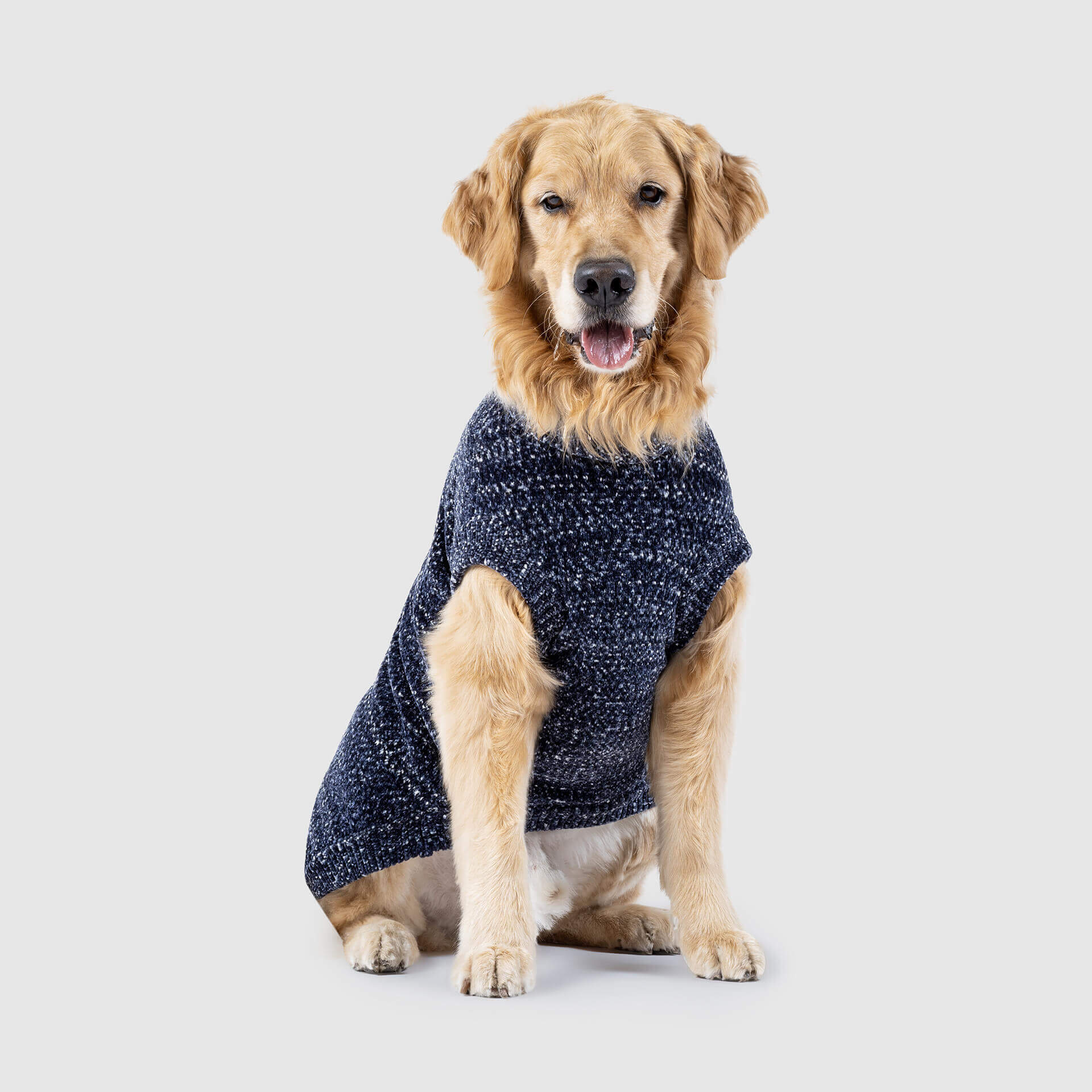CANADA POOCH | Soho Sweater in Grey - Image 2
