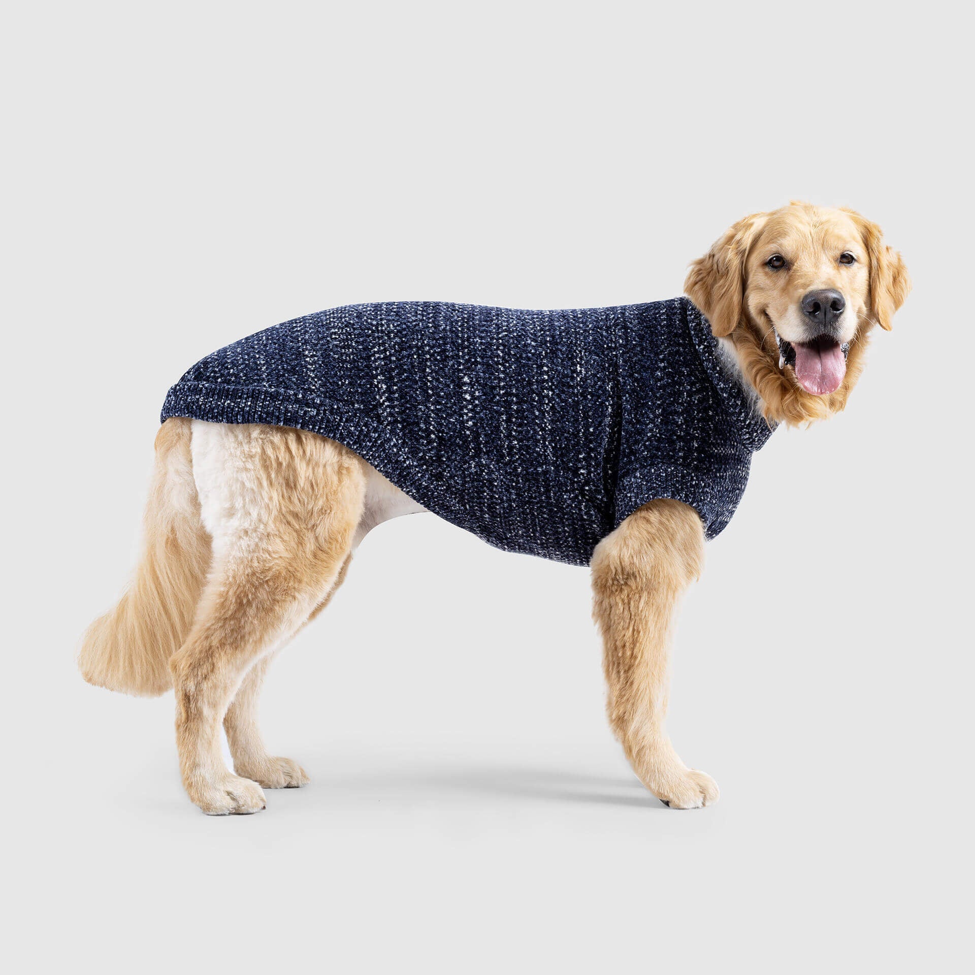 CANADA POOCH | Soho Sweater in Grey - Image 3