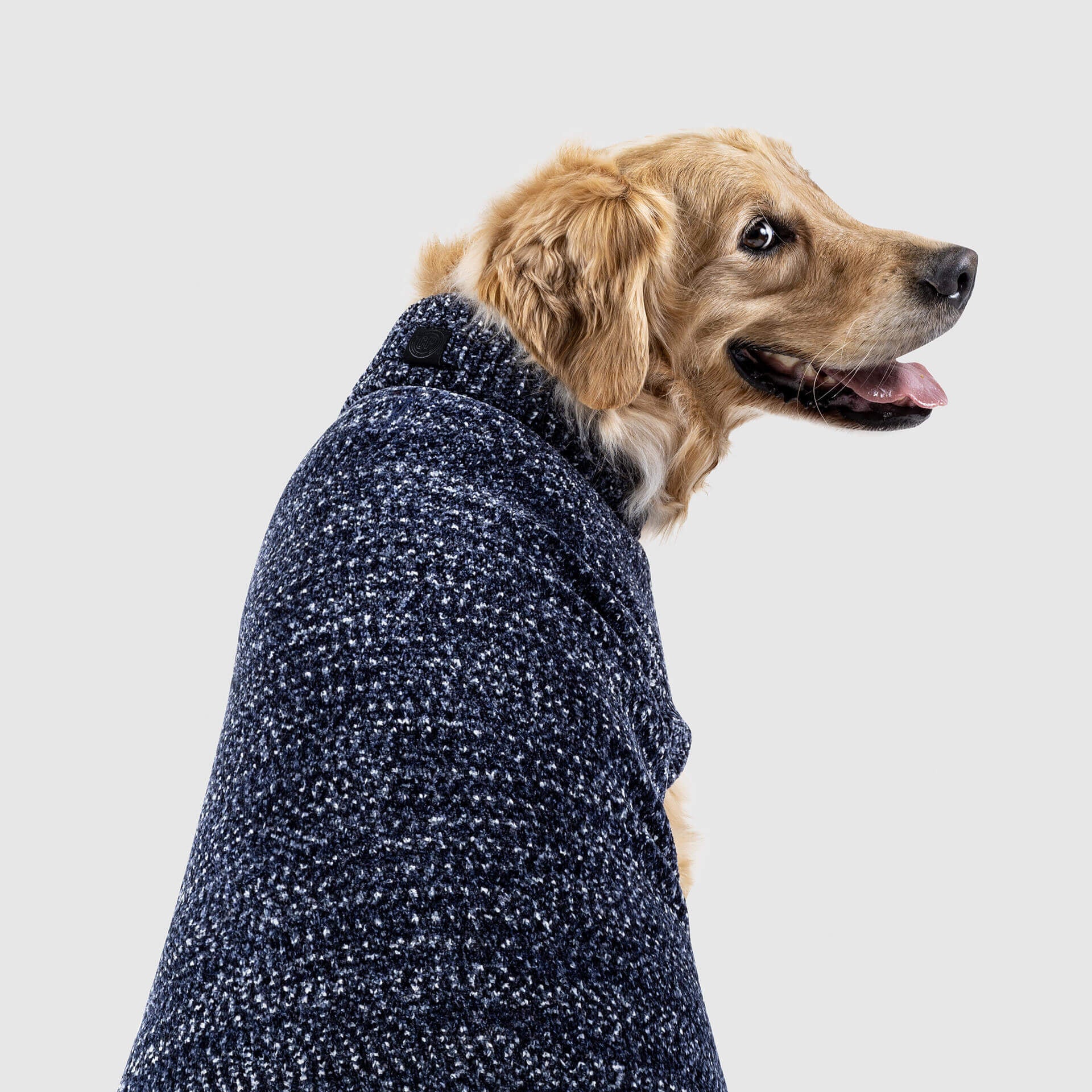 CANADA POOCH | Soho Sweater in Grey - Image 4
