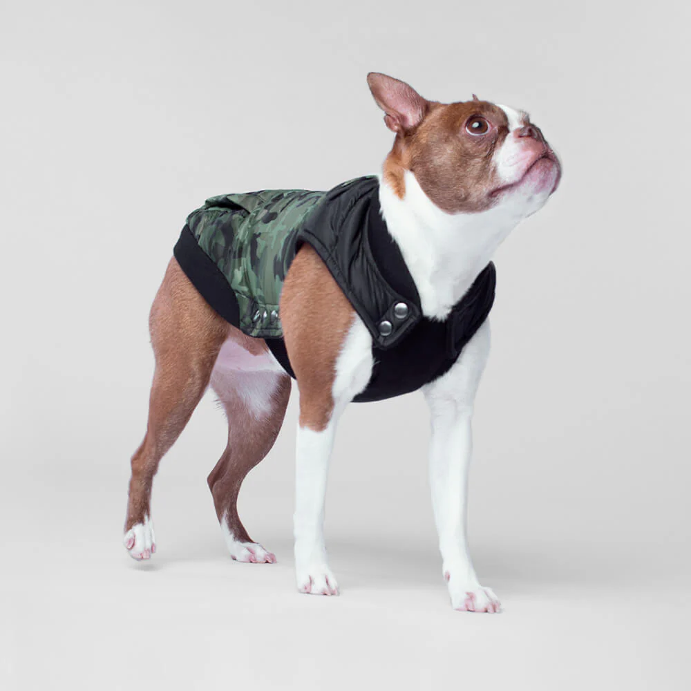 CANADA POOCH | Summit Stretch Vest in Camo - Image 3