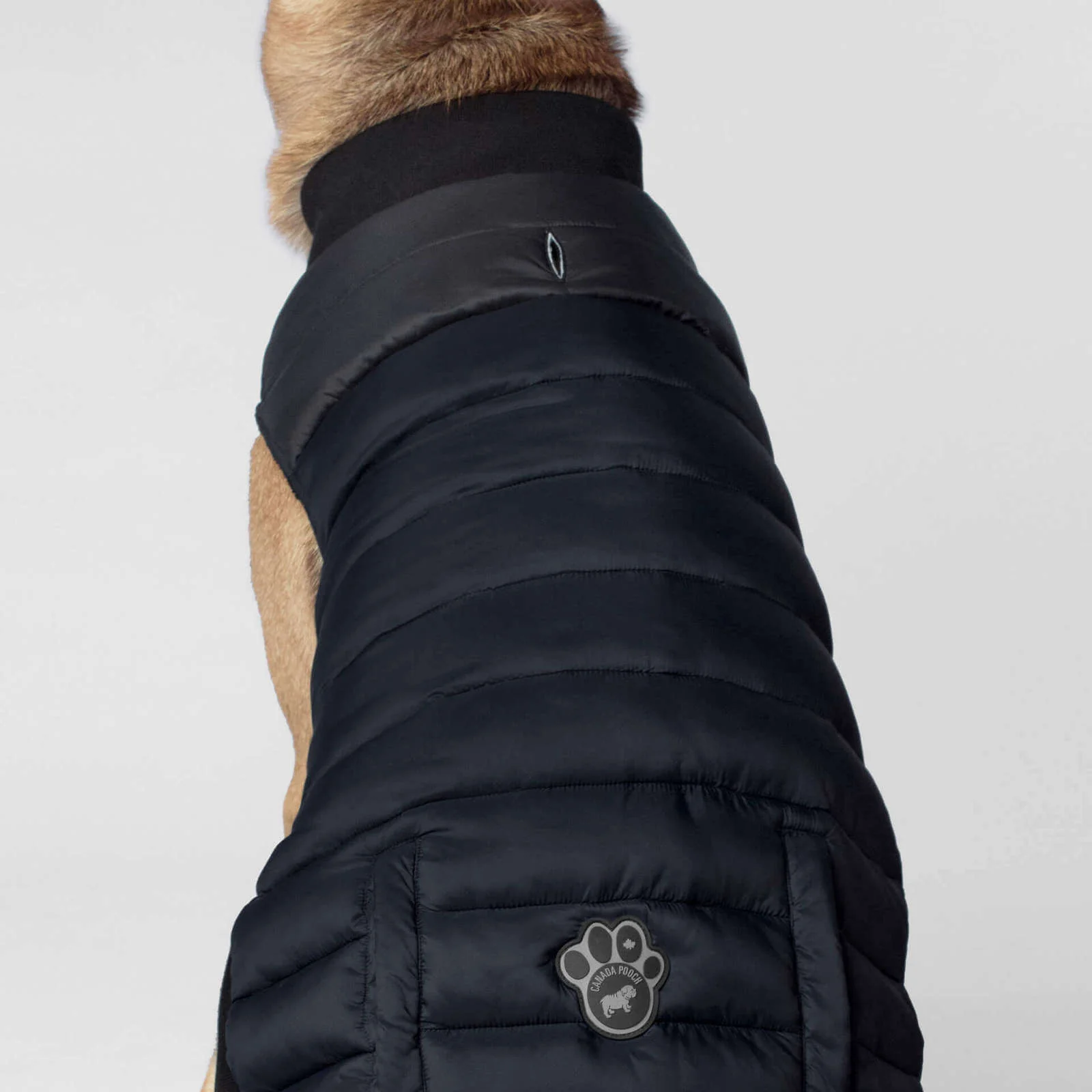 CANADA POOCH | Summit Stretch Vest in Navy (BIG DOG SALE) - Image 3