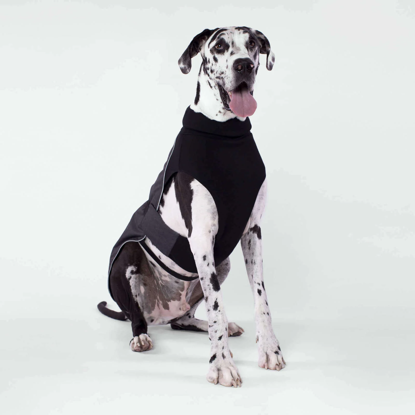 CANADA POOCH | The Expedition Coat in Charcoal (BIG DOG SALE) - Image 2