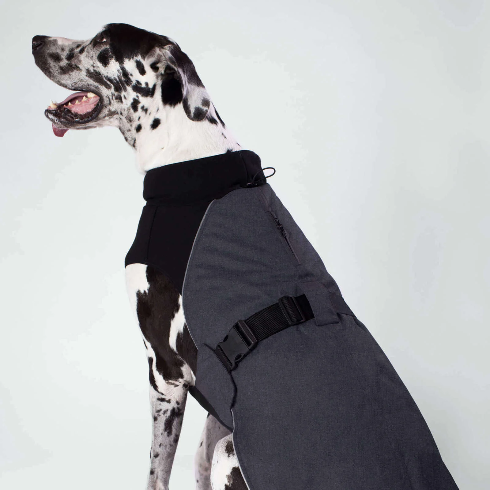 CANADA POOCH | The Expedition Coat in Charcoal (BIG DOG SALE) - Image 3