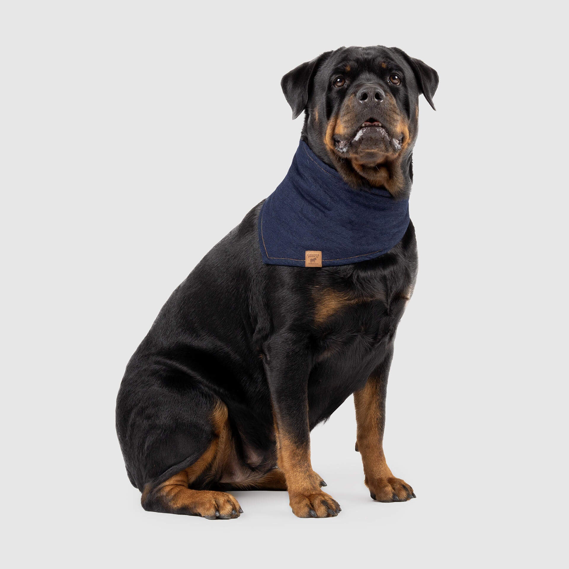 CANADA POOCH | The Worker Bandana - Image 4
