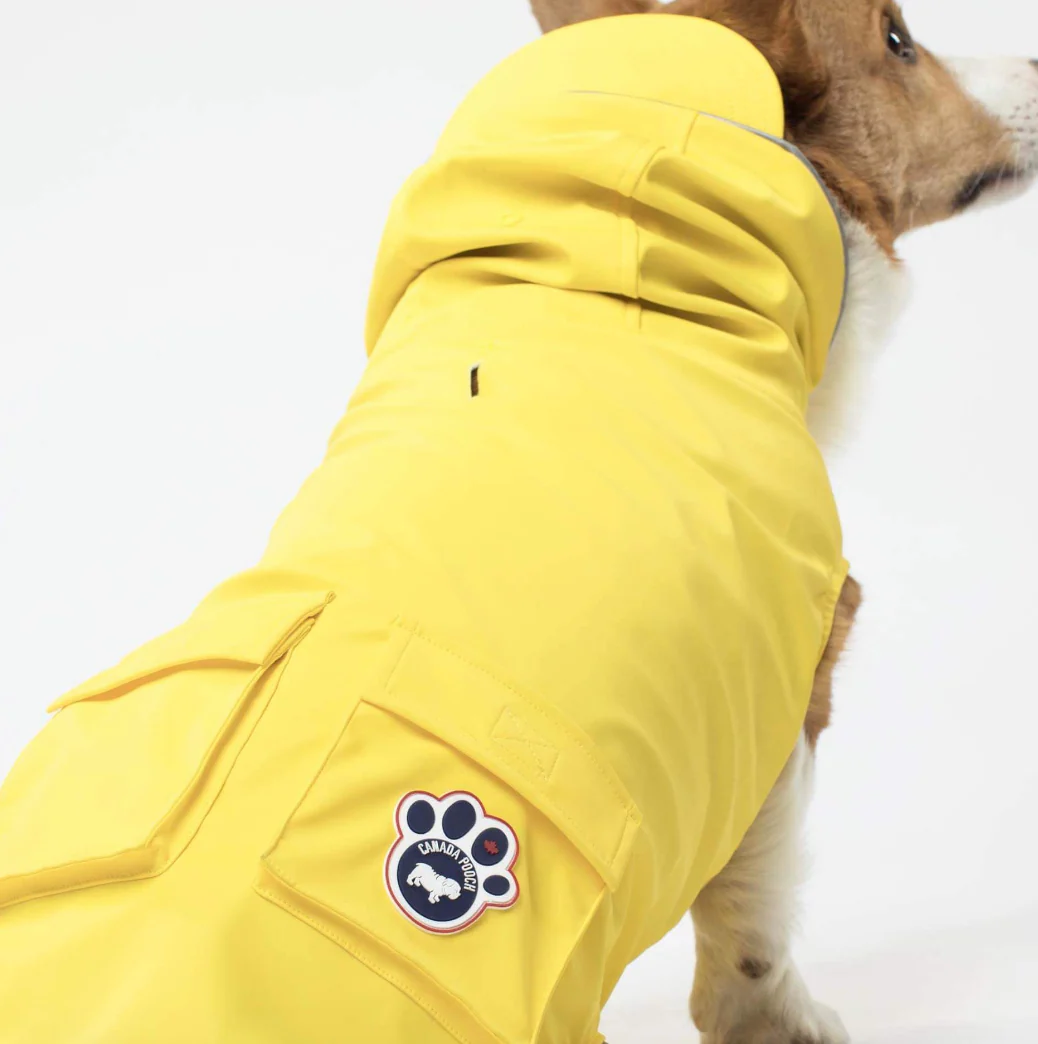 Torrential Tracker Dog Raincoat in Yellow (FINAL SALE) - Image 5