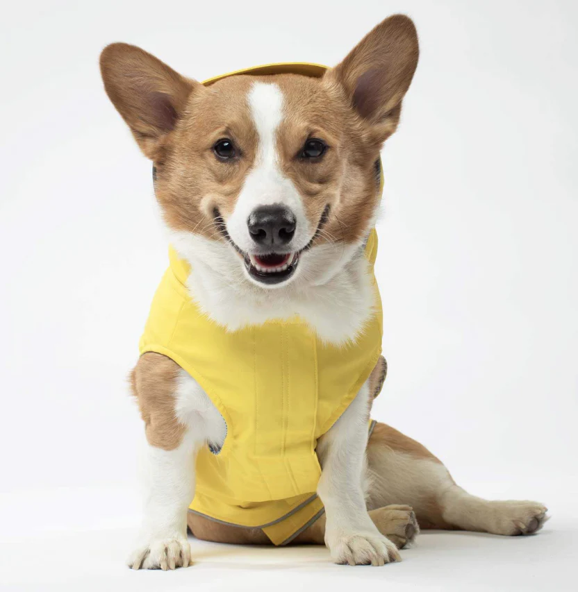 Torrential Tracker Dog Raincoat in Yellow (FINAL SALE) - Image 6