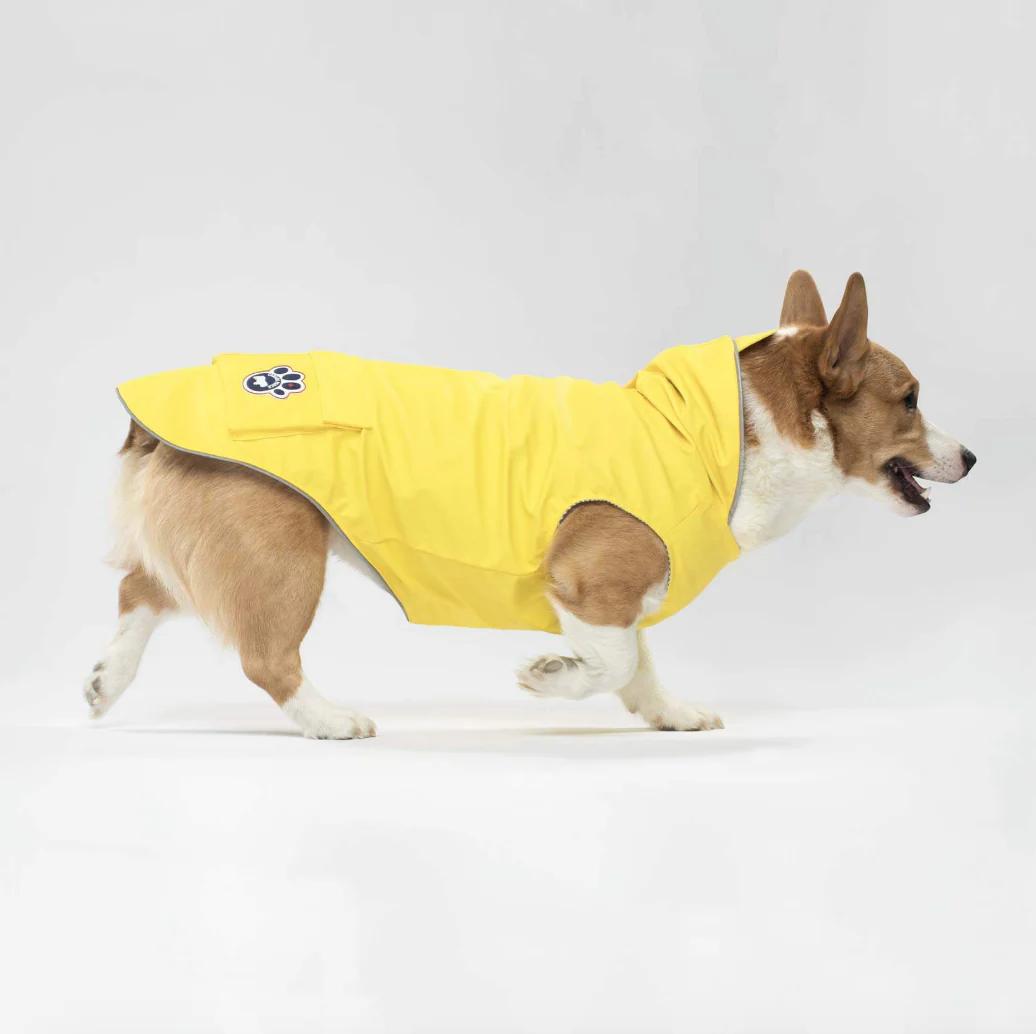 Torrential Tracker Dog Raincoat in Yellow (FINAL SALE) - Image 7