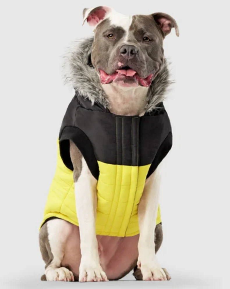 True North Dog Parka in Yellow (FINAL SALE) - Image 2