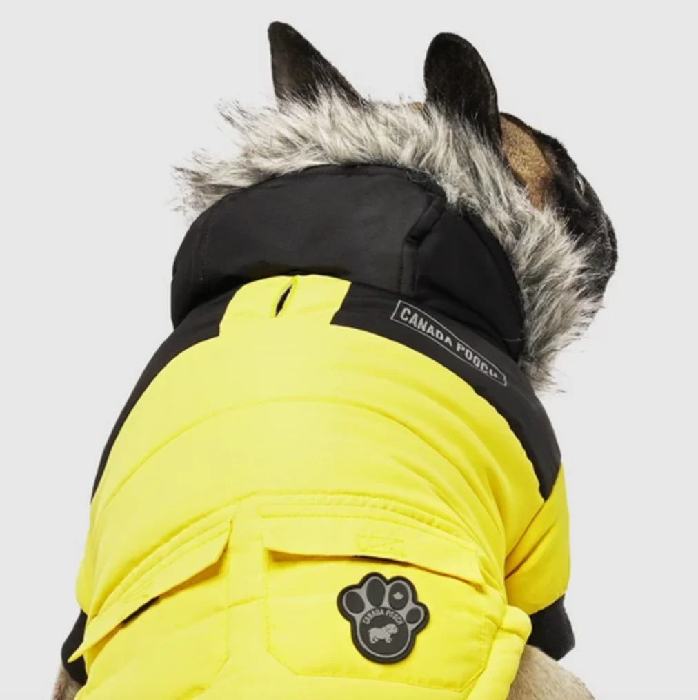 True North Dog Parka in Yellow (FINAL SALE) - Image 3