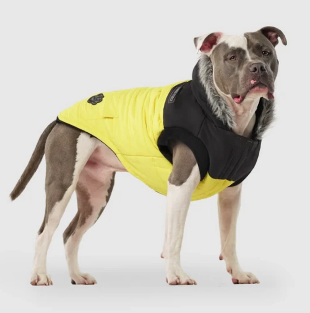 True North Dog Parka in Yellow (FINAL SALE) - Image 4