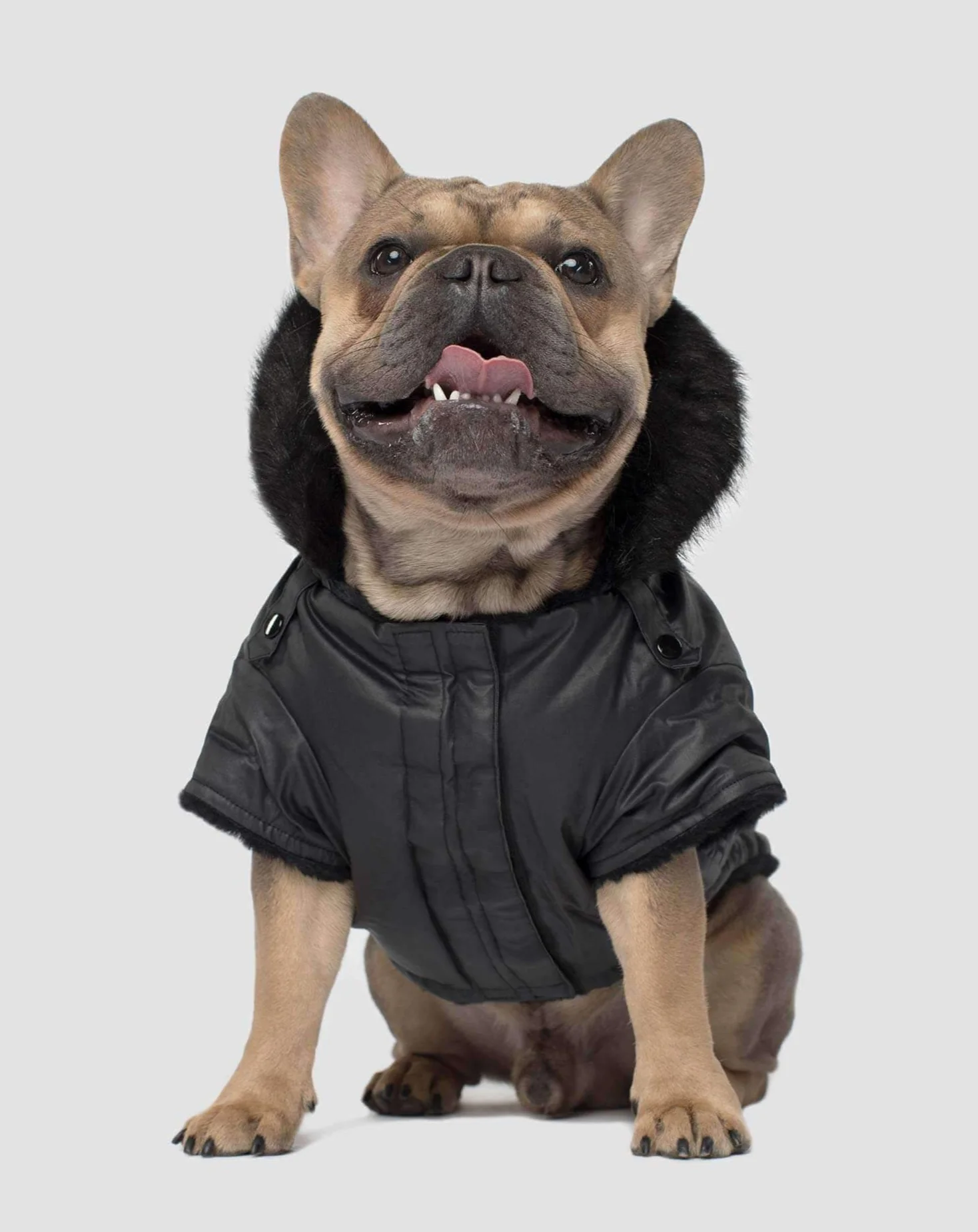 Urban Wax Dog Parka in Black - Image 2