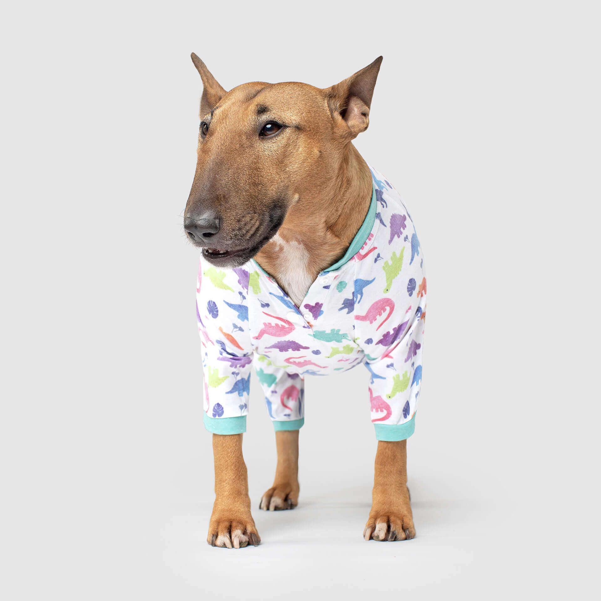 CANADA POOCH | Weekend Onesie in Dinosaur - Image 2
