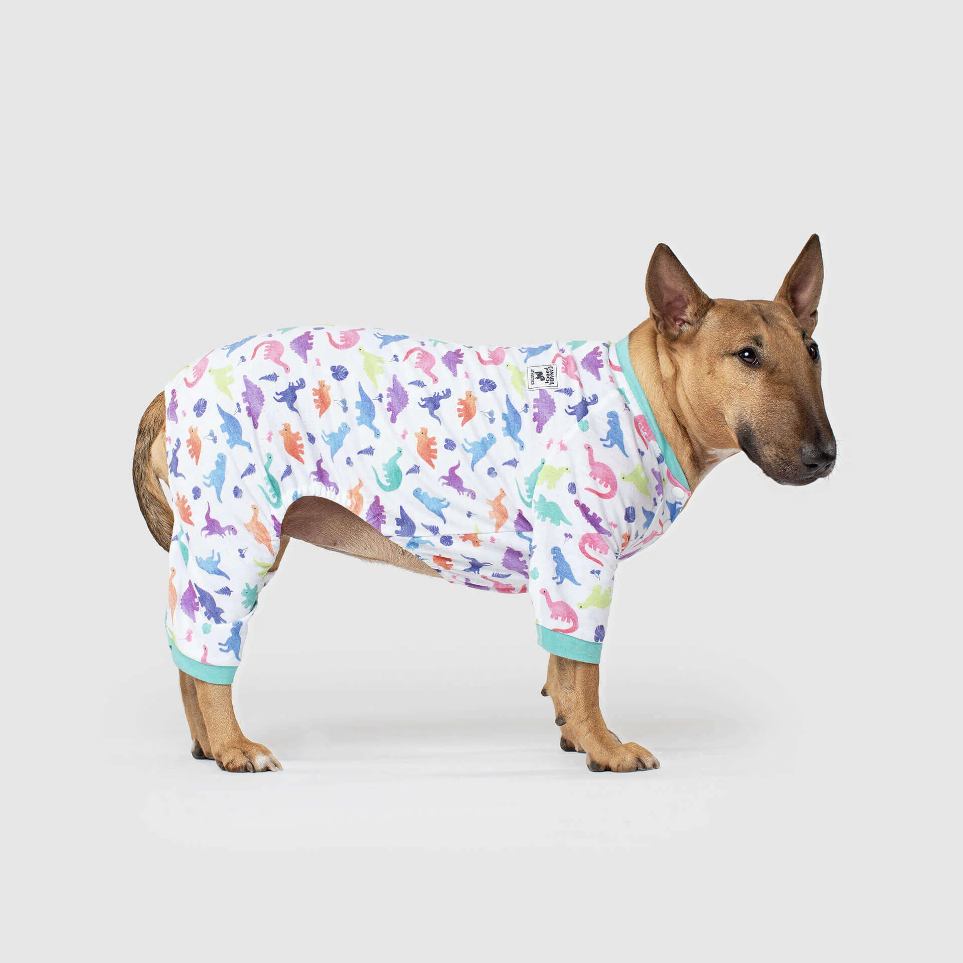 CANADA POOCH | Weekend Onesie in Dinosaur - Image 3