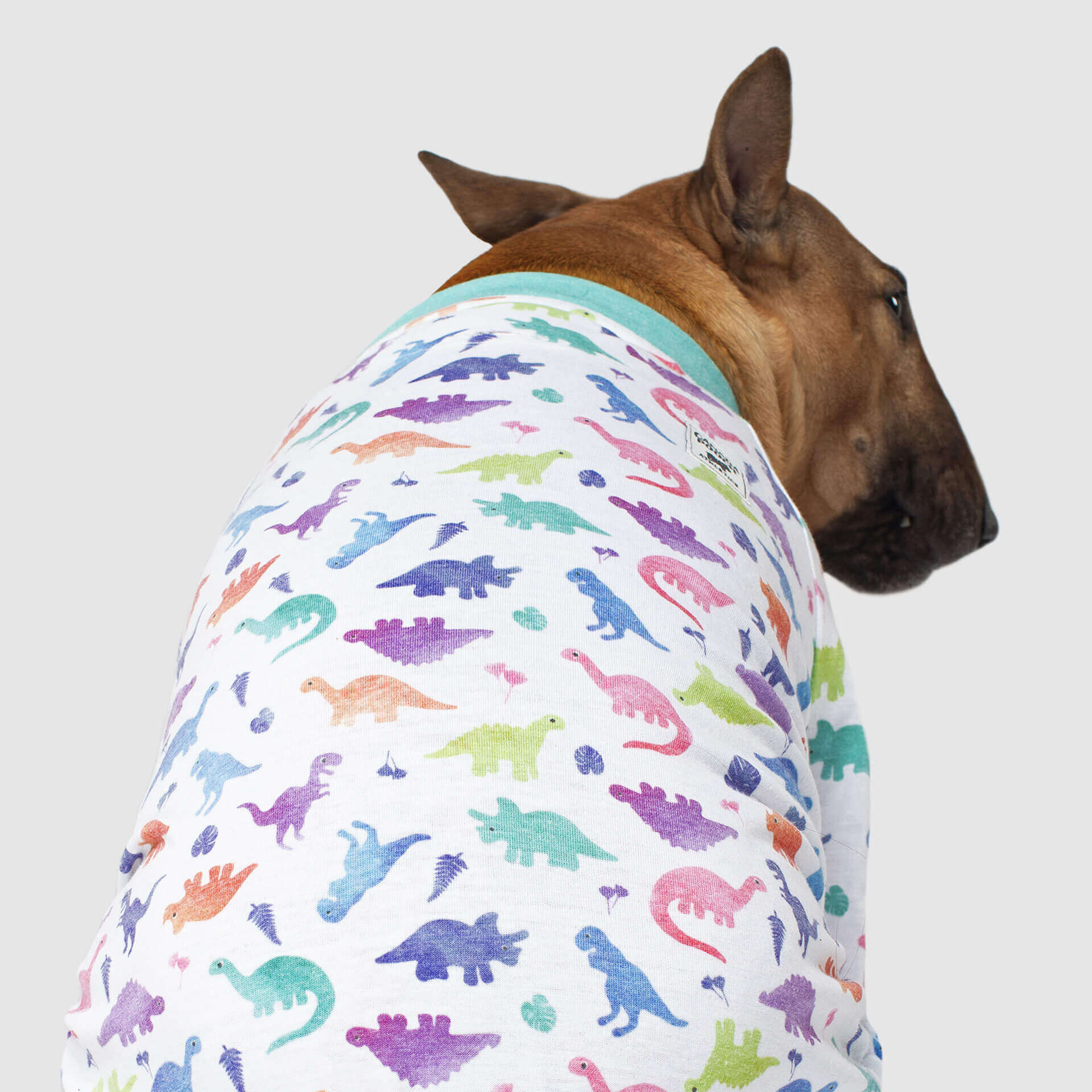 CANADA POOCH | Weekend Onesie in Dinosaur - Image 4