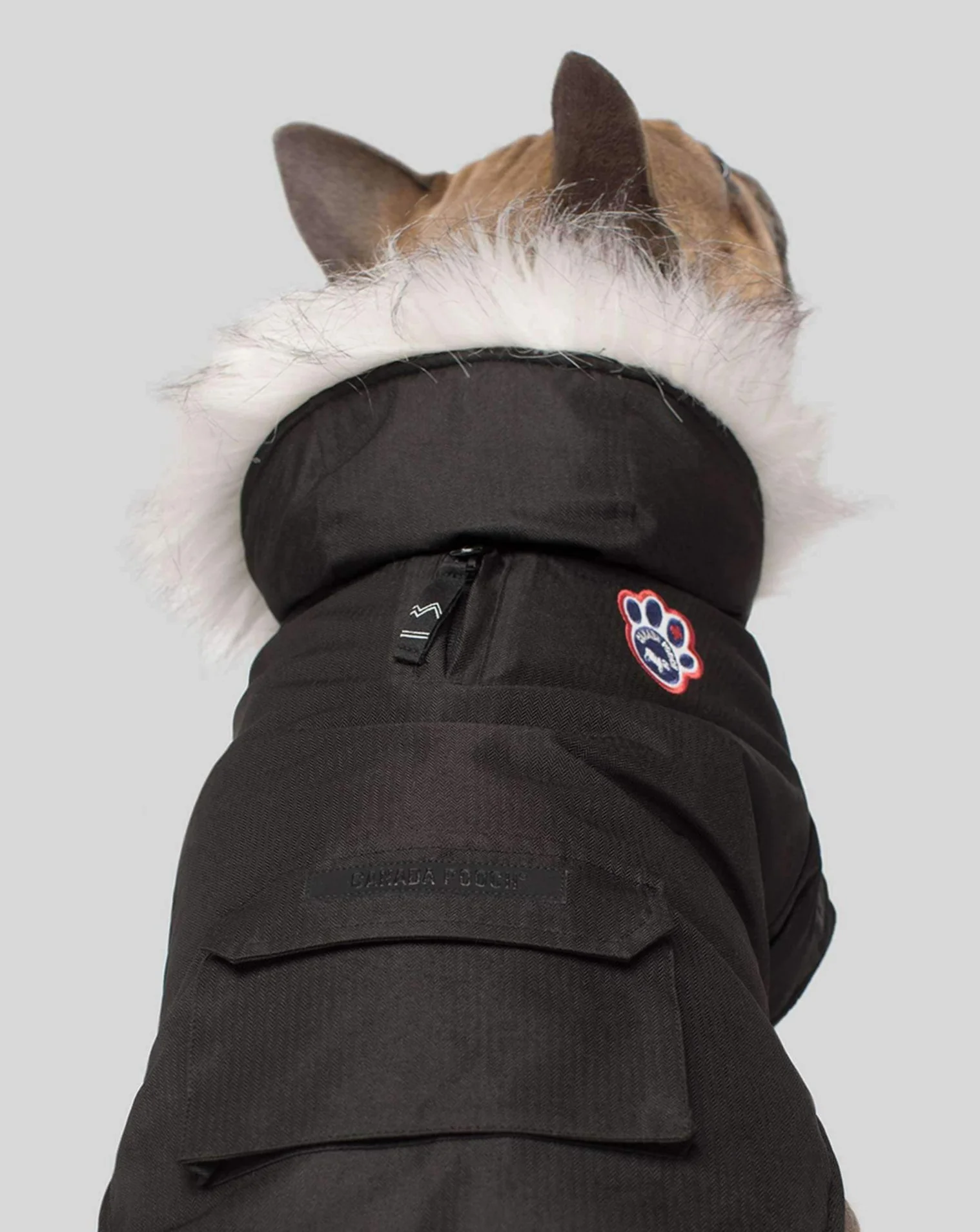 Winter Wilderness Dog Parka in Black (FINAL SALE) - Image 2