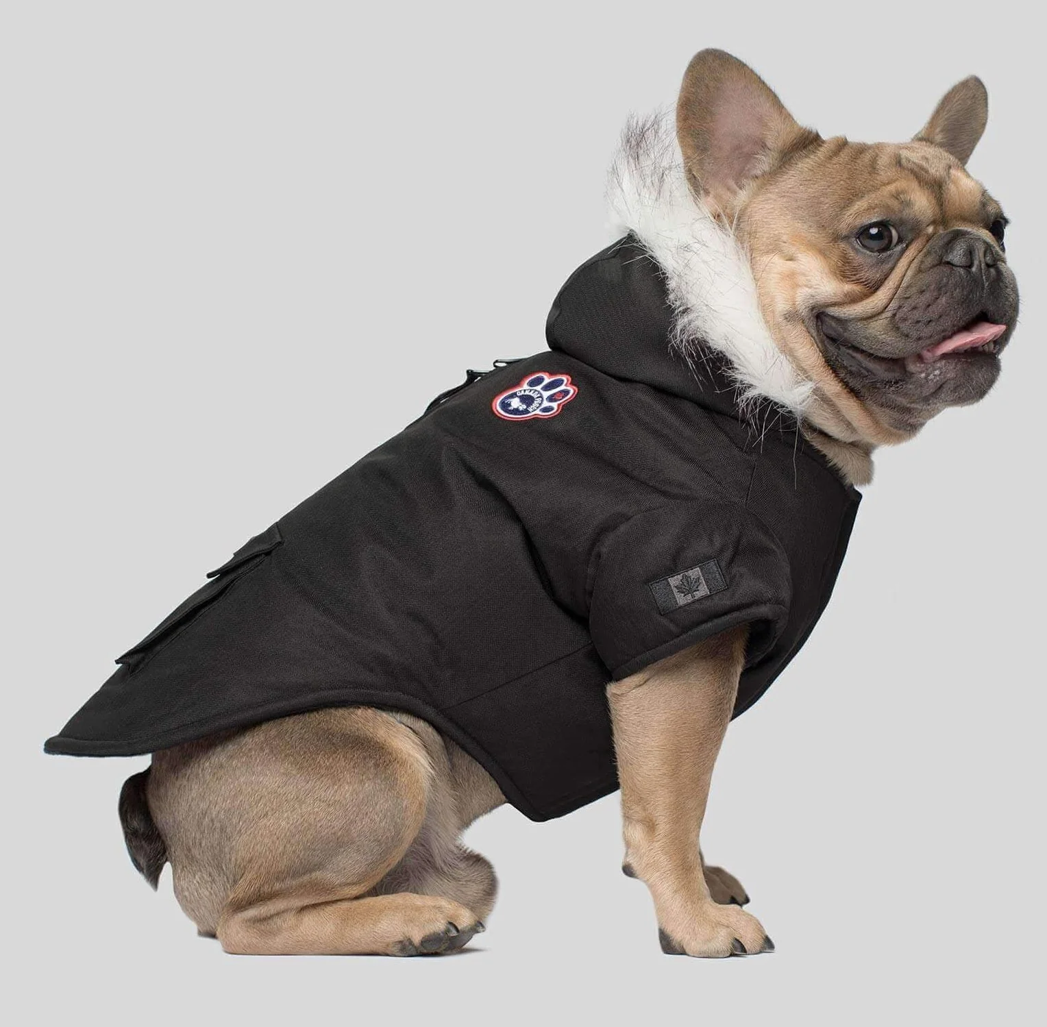 Winter Wilderness Dog Parka in Black (FINAL SALE) - Image 3