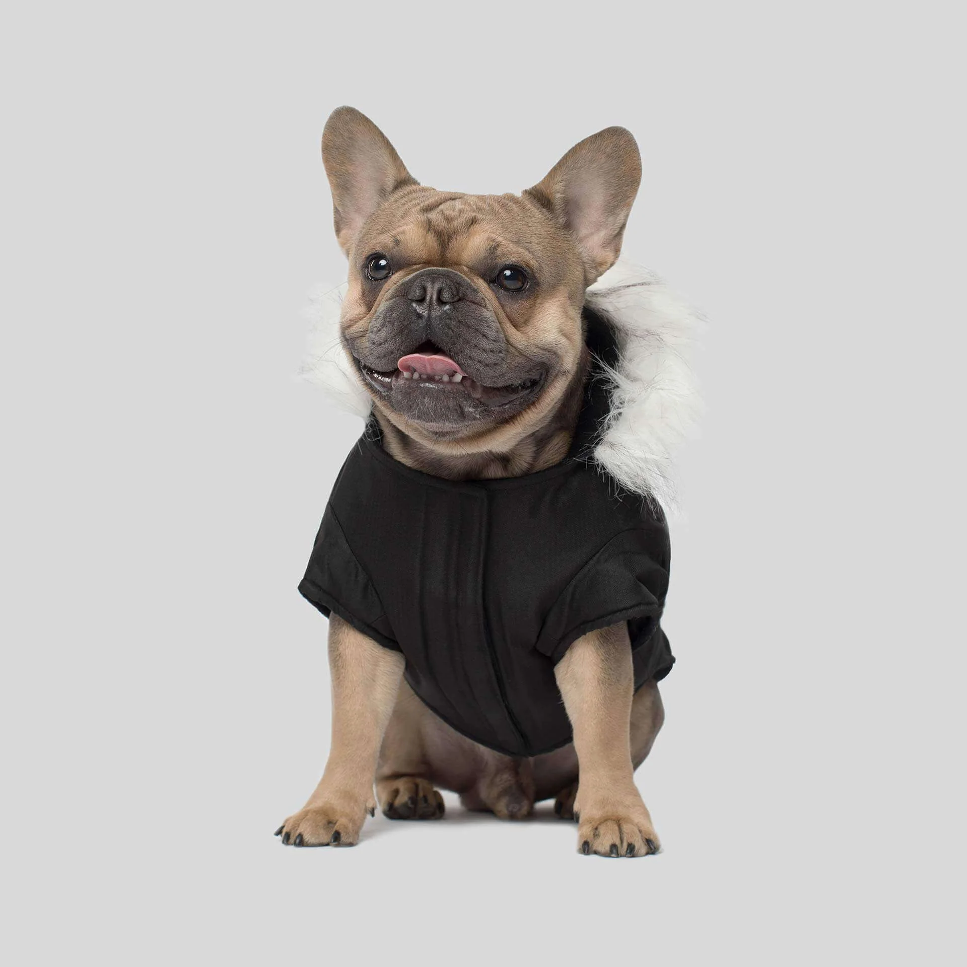 Winter Wilderness Dog Parka in Black (FINAL SALE) - Image 4