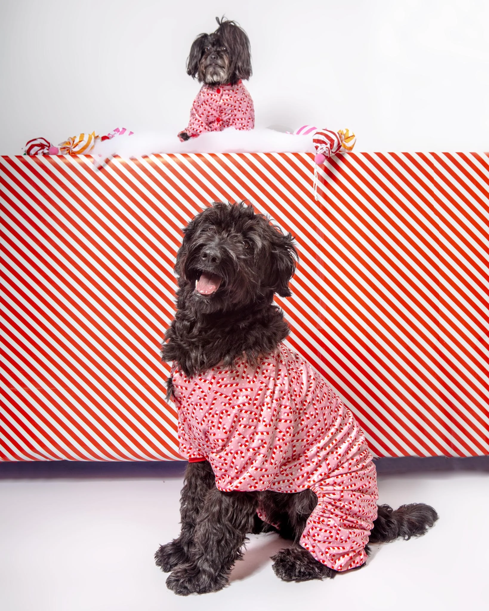Candy Cane Dog Pajamas (FINAL SALE) - Image 4