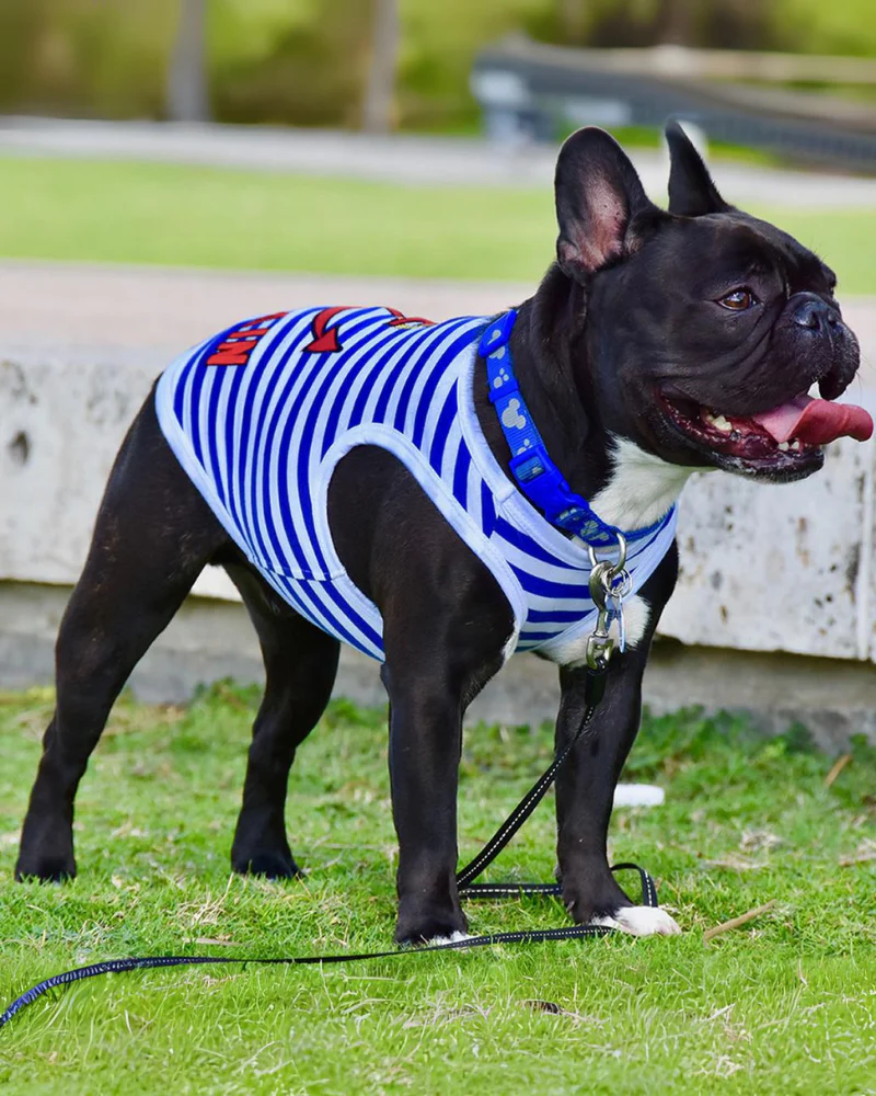 Captain Dog Tank Top in Blue & White Stripe (FINAL SALE) - Image 4