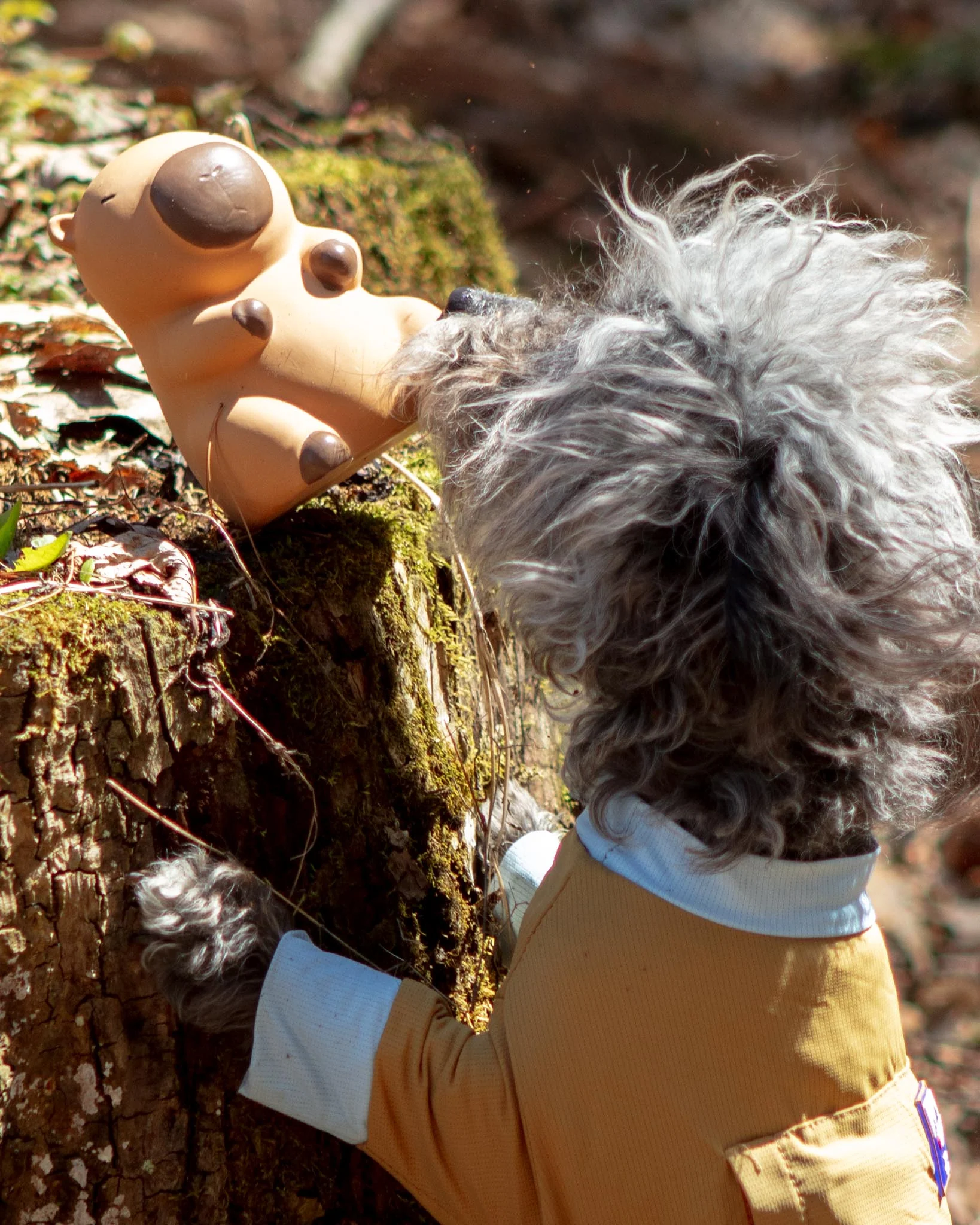 Capybara Latex Squeaky Dog Chew Toy - Image 2