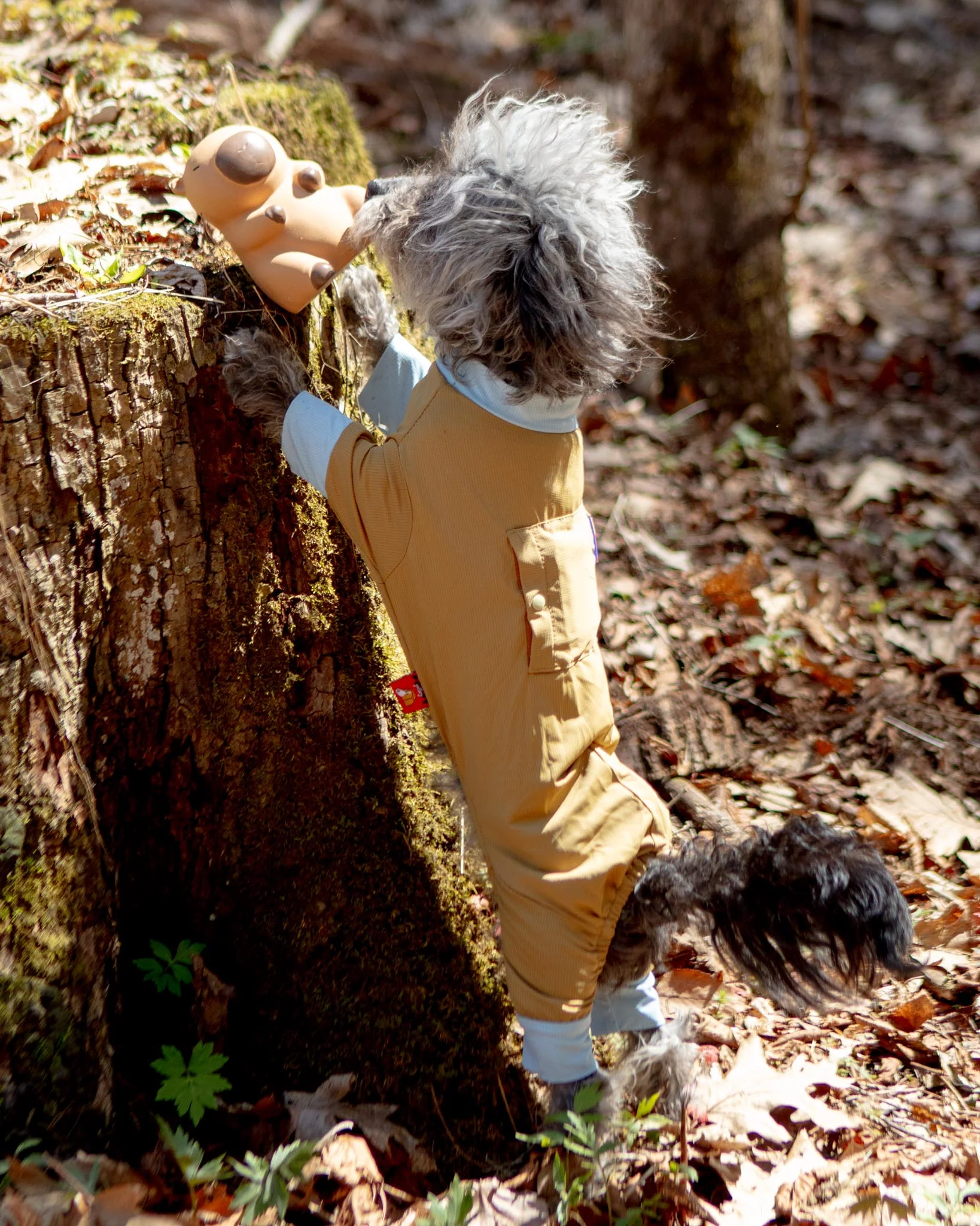 Capybara Latex Squeaky Dog Chew Toy - Image 3