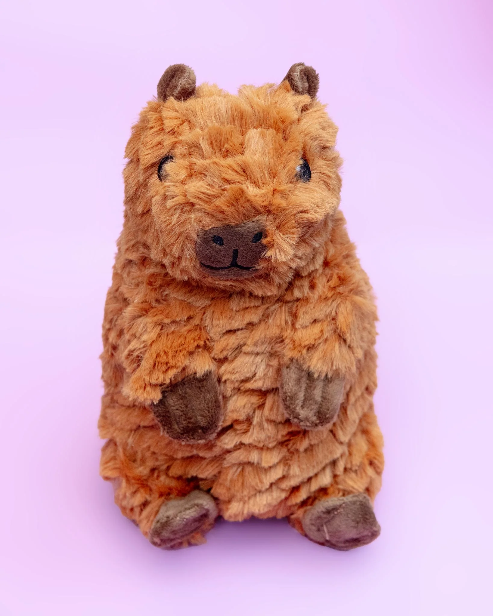 Capybara Squeaky Plush Dog Toy