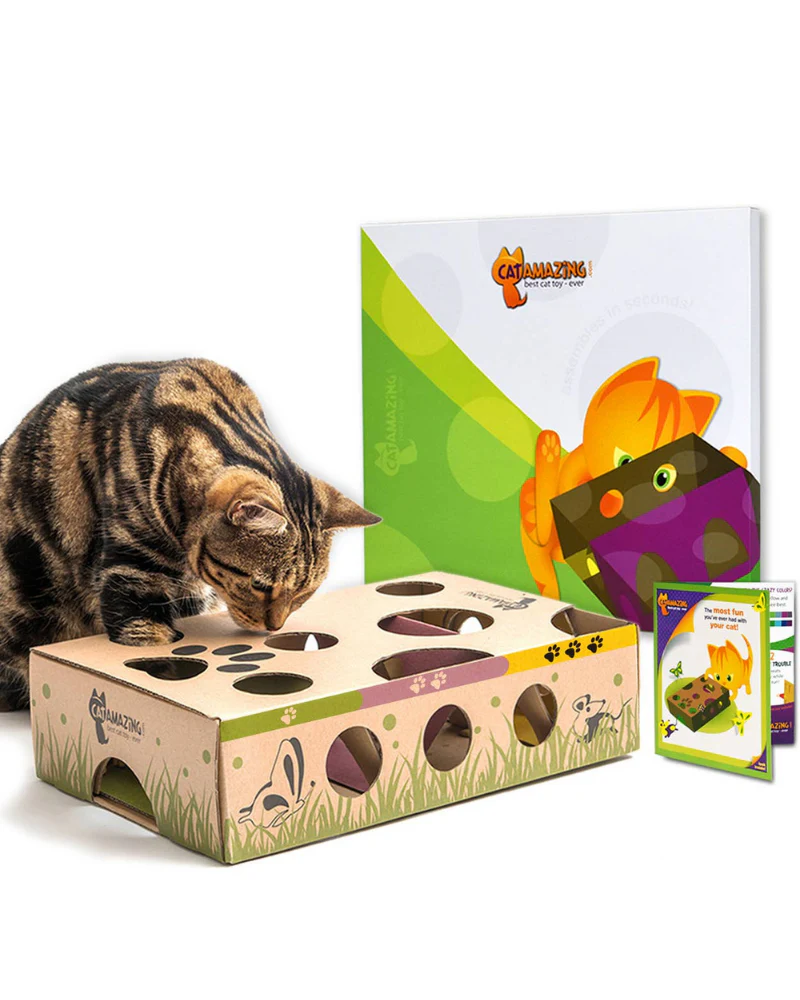Cat Puzzle Feeder Toy << FINAL SALE >> - Image 3