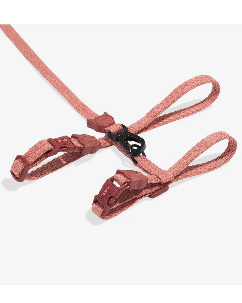 Cat Harness with Leash in Canyon - Image 2