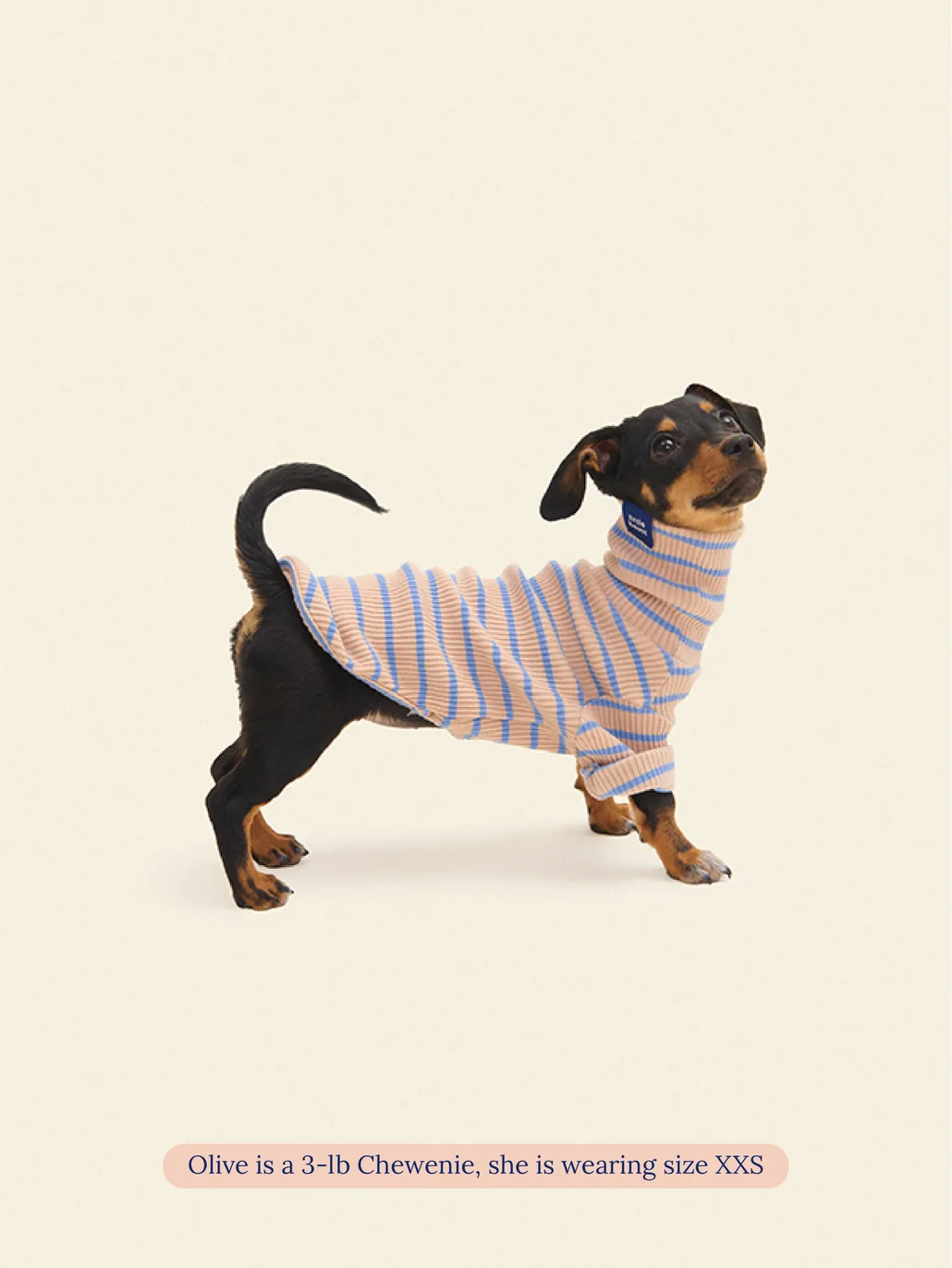 Catch Me Outside Dog Shirt (FINAL SALE) - Image 3