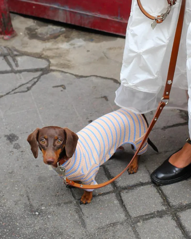 Catch Me Outside Dog Onesie (FINAL SALE) - Image 2