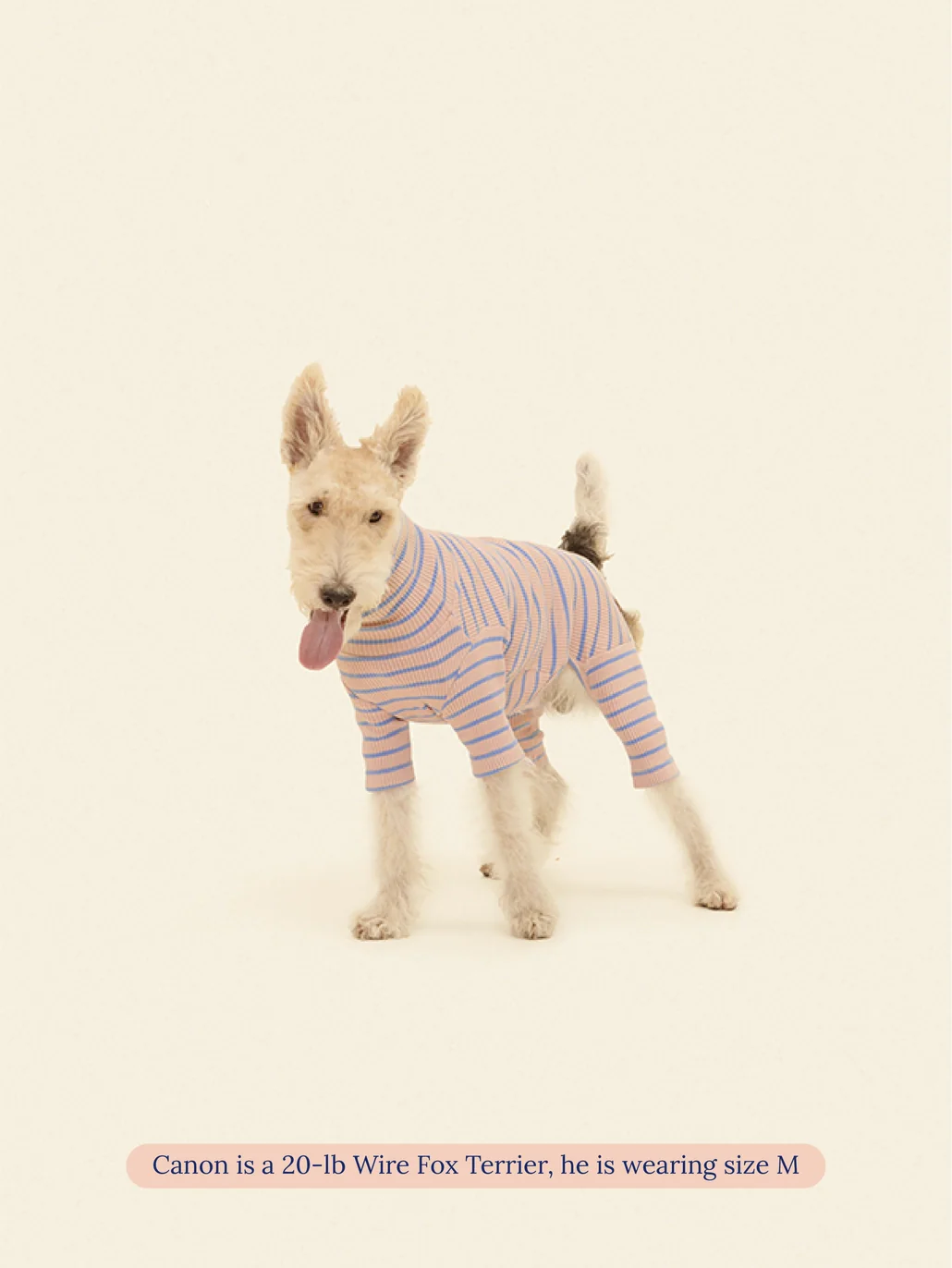 Catch Me Outside Dog Onesie (FINAL SALE) - Image 3