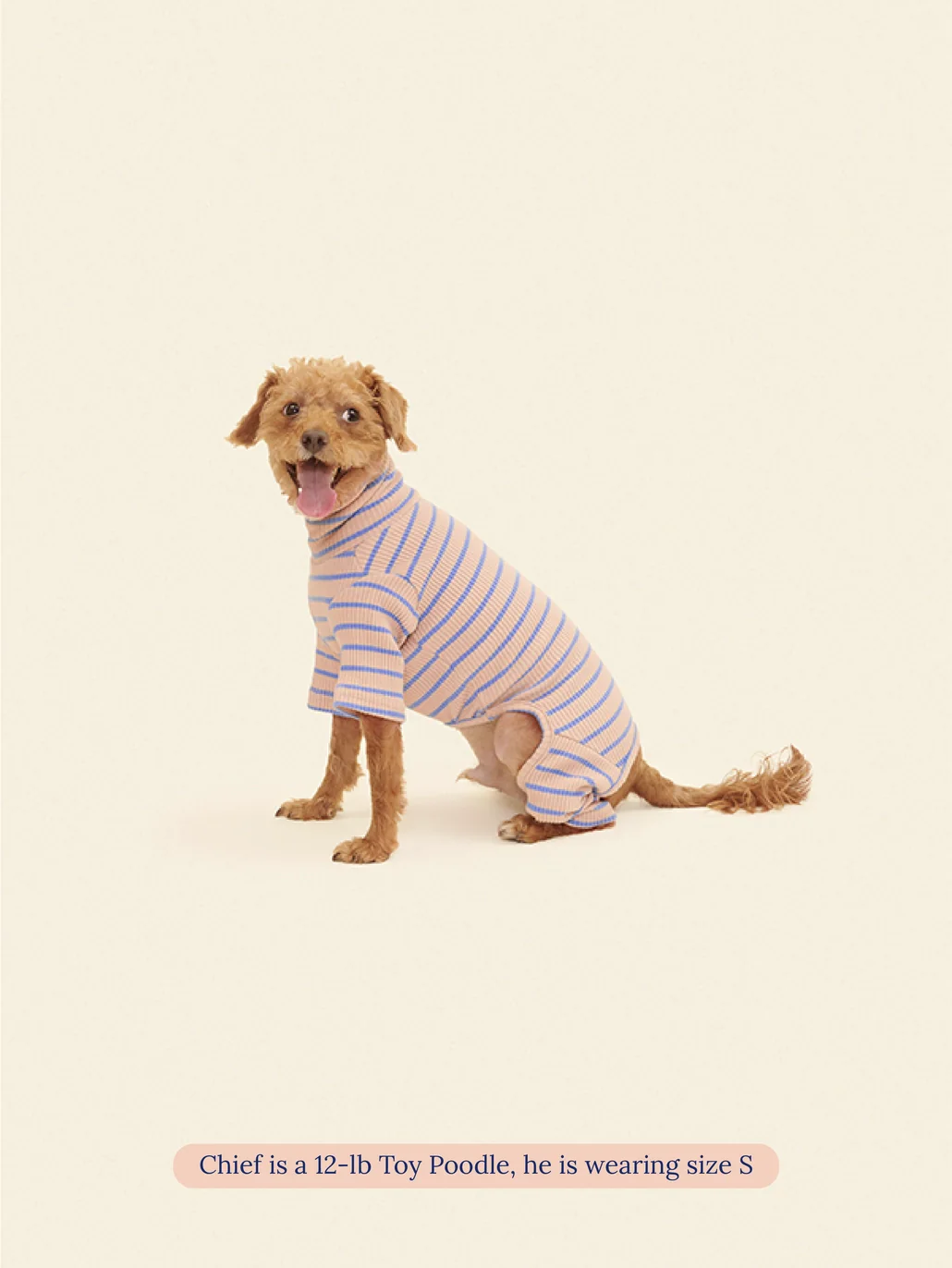 Catch Me Outside Dog Onesie (FINAL SALE) - Image 4