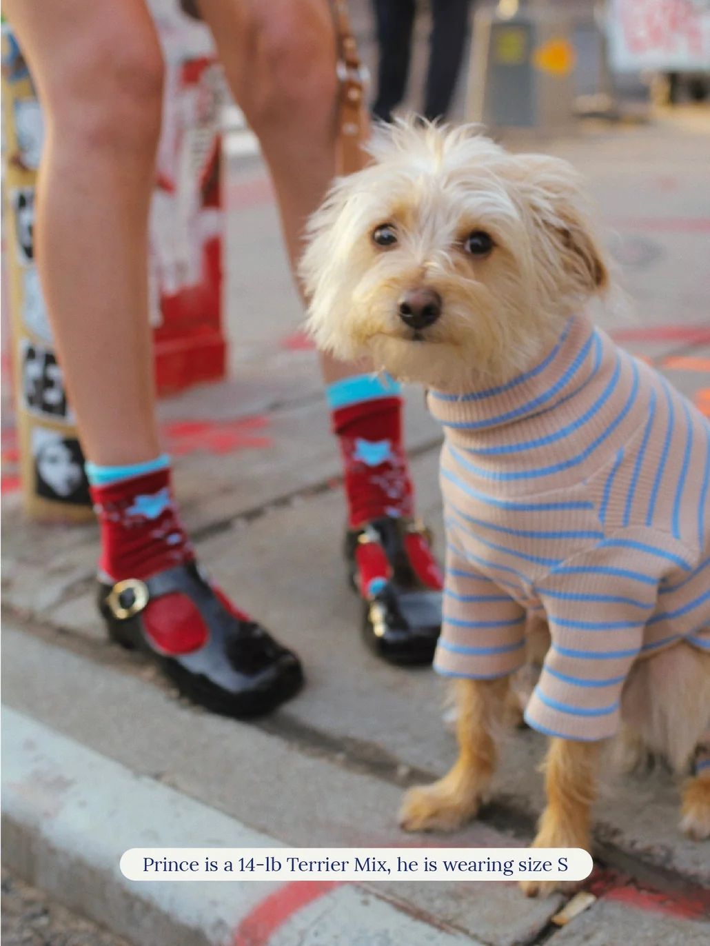 Catch Me Outside Dog Onesie (FINAL SALE) - Image 5
