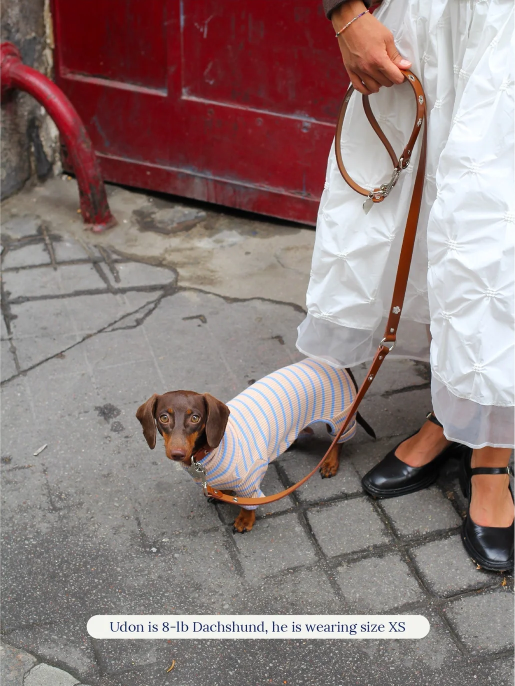 Catch Me Outside Dog Onesie (FINAL SALE) - Image 6