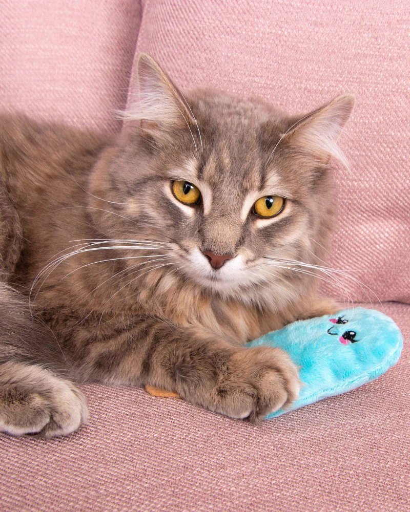 Catnip Fur-ezze Pop Cat Plush Toy (Made in the USA)