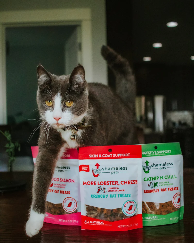 Catnip N Chill Crunchy Cat Treats - Image 4
