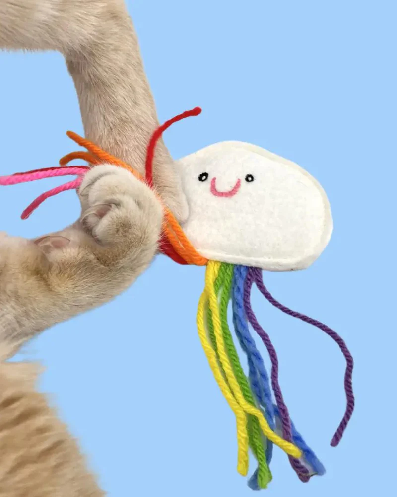 Catnip Rainbow Cloud Toy - Image 4