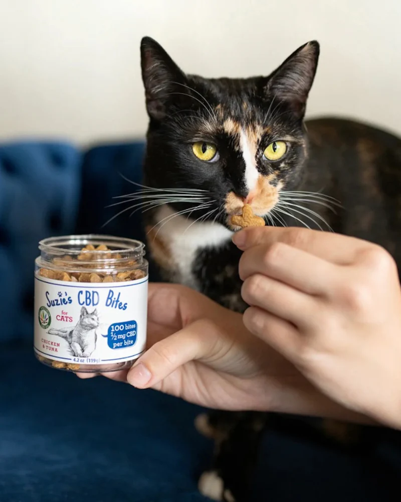 CBD Chicken & Tuna Cat Treats (1/2mg) - Image 2