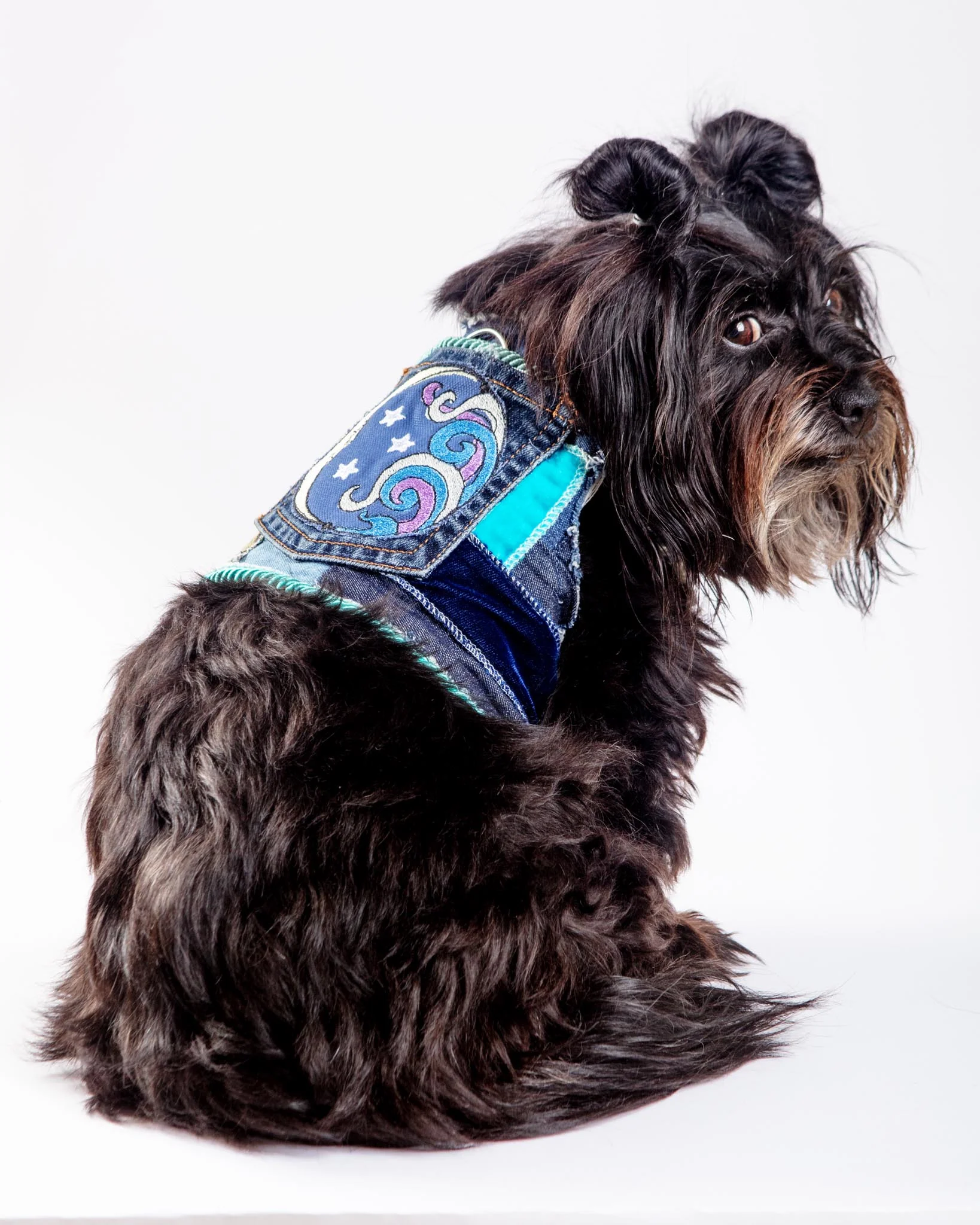 Celestial Denim Harness Vest for Dogs (Made in the USA) (FINAL SALE) - Image 2