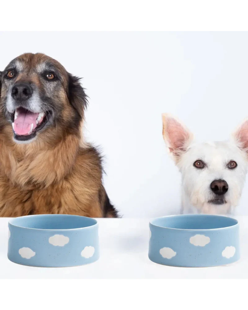 Ceramic Cloud Dog Bowl Set (Made in Portugal) - Image 4