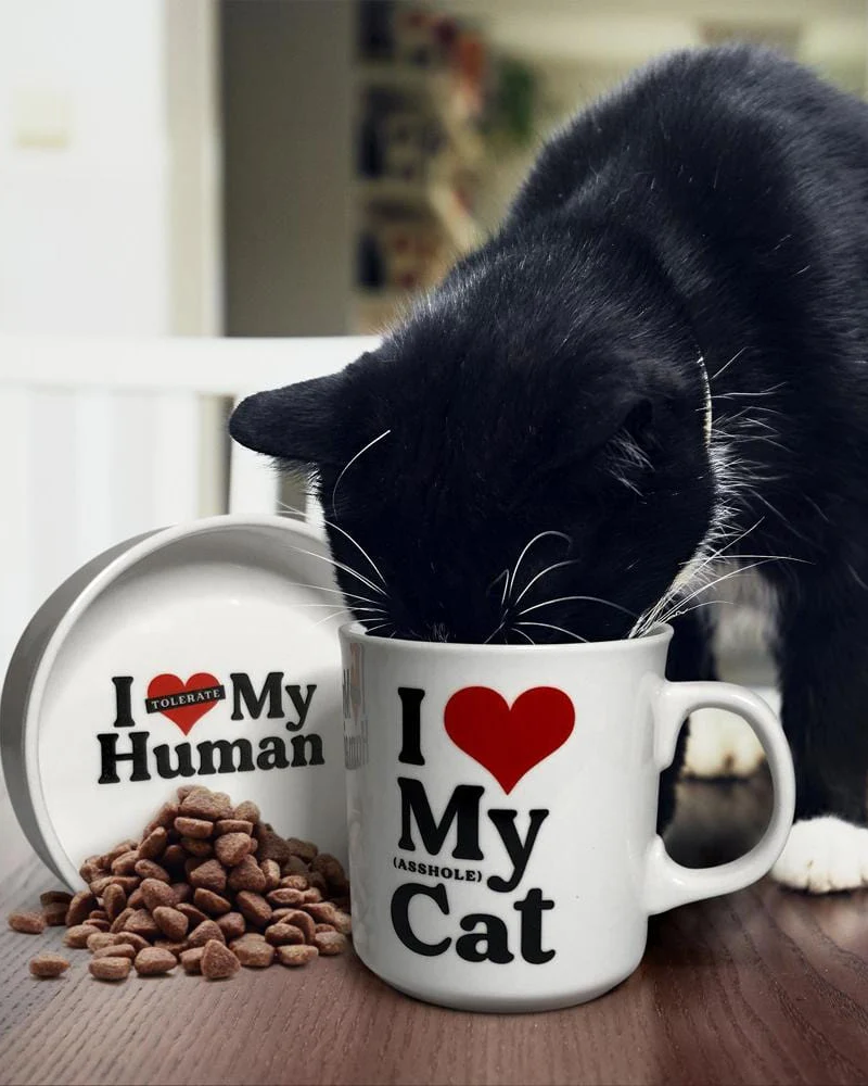 Ceramic Mug & Cat Bowl Set - Image 2