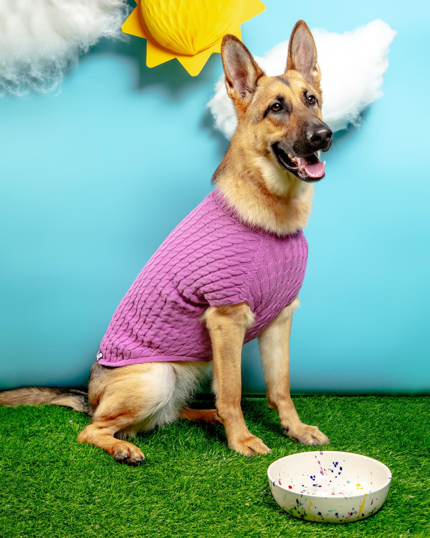 Ceramic Pet Bowl in Confetti (Made in the USA) - Image 2