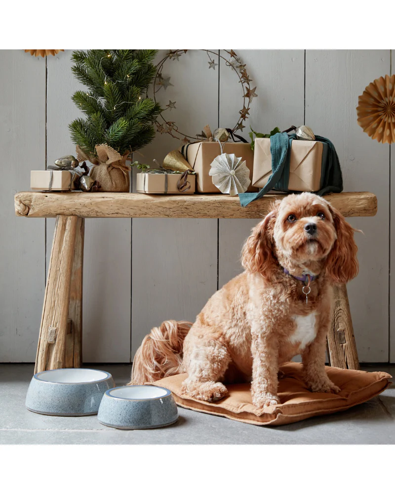 Ceramic Pet Bowl in Kiln White (Made in England) - Image 2