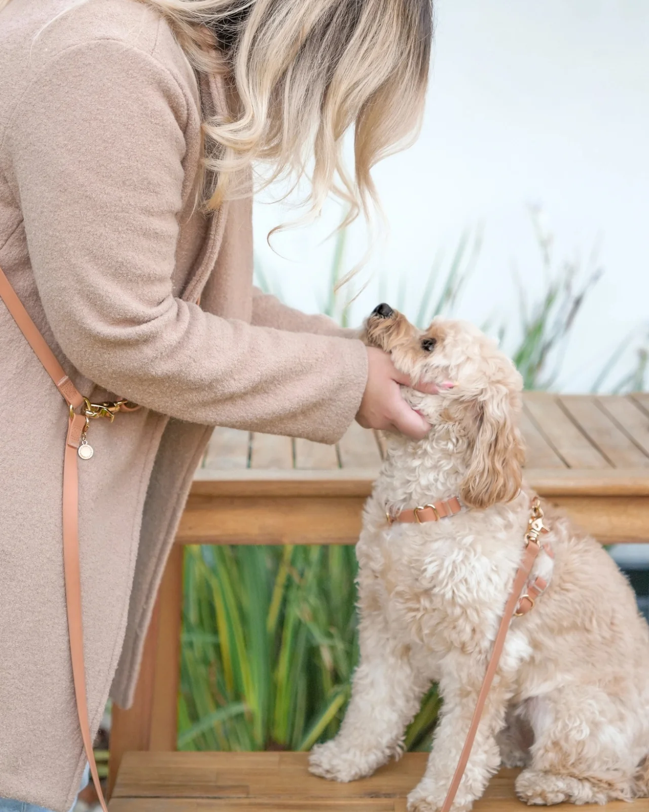 Chai Brown Cloud Lite Dog Harness - Image 2